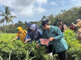 GERBANG PAGI PADUKUHAN WATUGAJAH